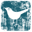 Follow Us on Twitter