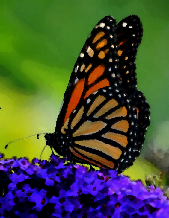 This image has an empty alt attribute; its file name is monarch2a.jpg
